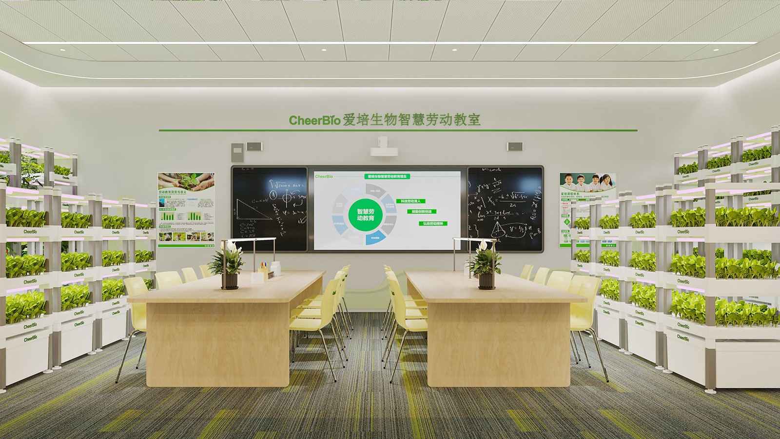 Retail & Wellness Stores