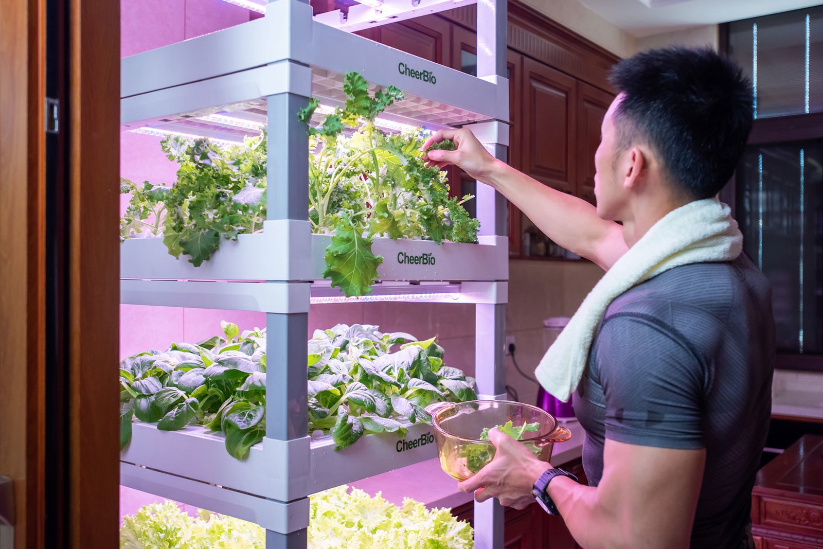 Premium built-in hydroponic system in a luxury modern kitchen