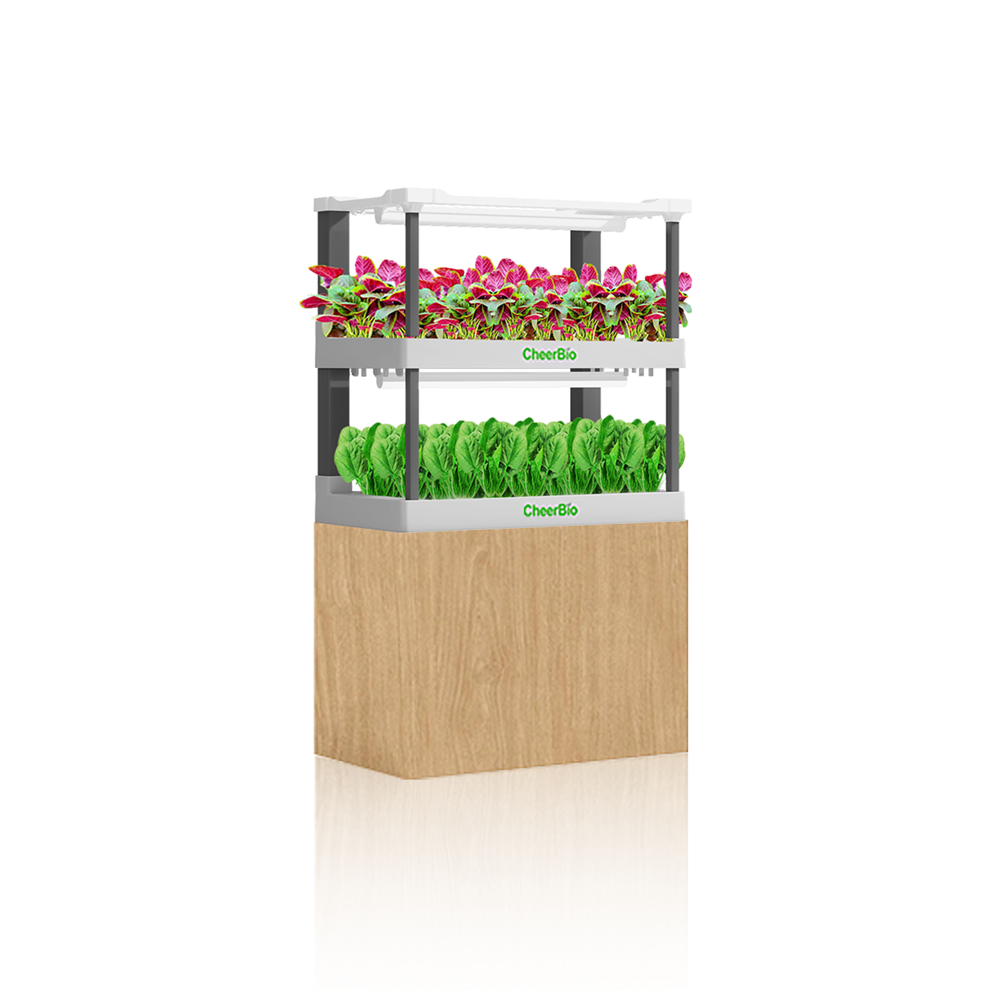 Home Hydroponic Systems