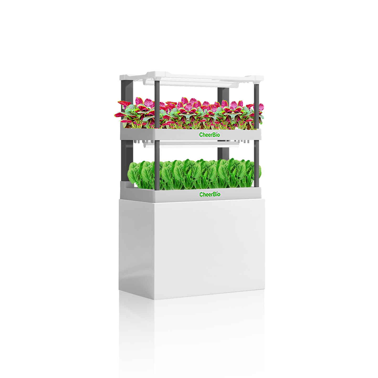 NFT Hydroponic Systems