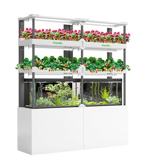 Smart Indoor Garden Kits