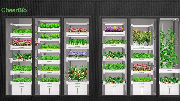 Single-Sided Space-efficient Commercial Vertical Farming Factory