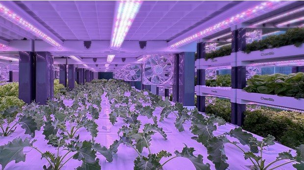 Industrial Mass-Production Smart Farming Infrastructure